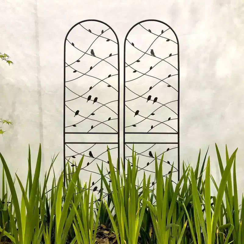 Trellis de Jardin en Métal 180 x 50 cm Anti-Rouille Support pour Plantes Grimpantes Fleurs Extérieur Noir