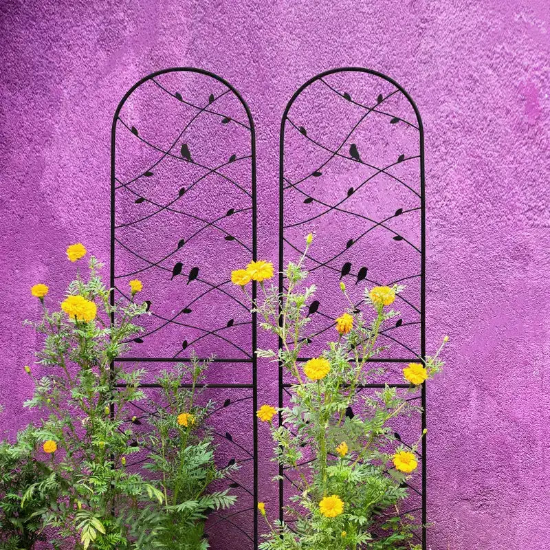 Trellis de Jardin en Métal 180 x 50 cm Anti-Rouille Support pour Plantes Grimpantes Fleurs Extérieur Noir